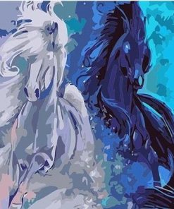 Black and White Horses paint by numbers