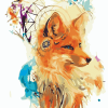 Fox Dream Catcher paint by number