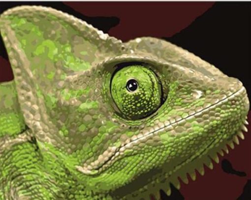 Green Lizard paint by numbers