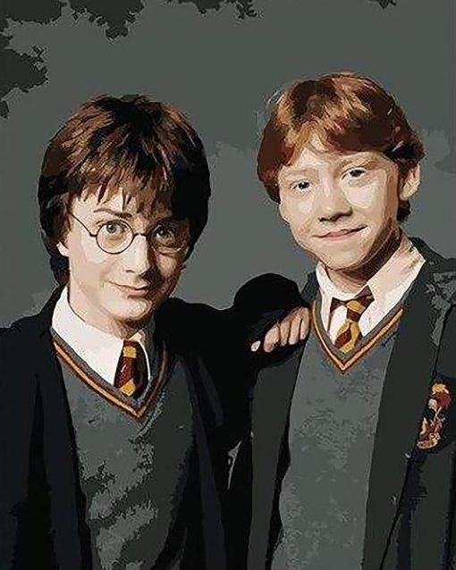 Harry potter And Ron Weasley paint by numbers