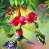 Hummingbirds paint by numbers