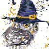 Magic Owl paint by numbers