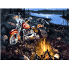 Motorcycle In Forest paint by numbers