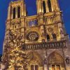 Notre Dame De Paris paint by numbers