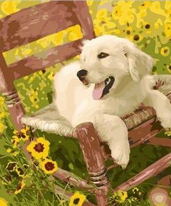Puppy on a Chair paint by numbers