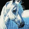 Kits white horse City - DIY Paint By Numbers - Numeral Paint