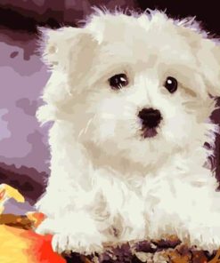 Dog Kits Animals - DIY Paint By Numbers - Numeral Paint