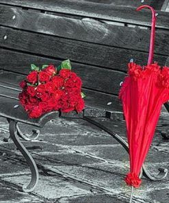 Red Flowers Umbrella paint by numbers