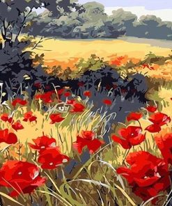 Red Poppy Flowers Field paint by numbers
