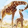 Giraffe Mom and Her Baby paint by numbers