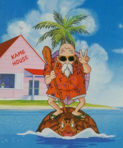 Master Roshi paint by numbers