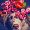 Dog With Flower Crown paint by numbers