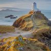 llanddwyn Island Anglesey paint by numbers