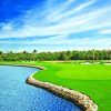 Ritz Carlton Grand Cayman Golf paint by numbers