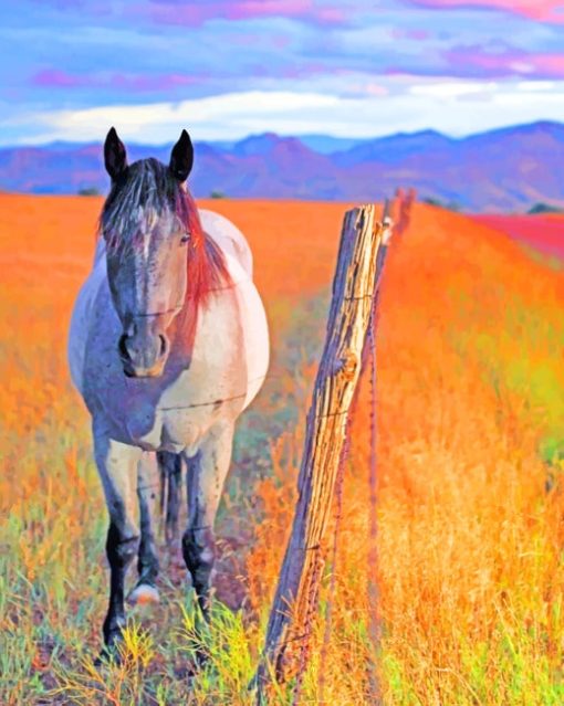 Horse In Field paint by numbers