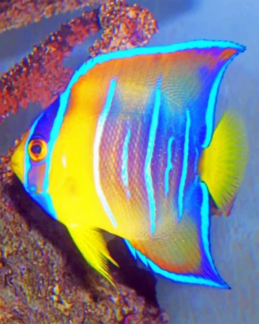 Queen Angelfish Paint by numbers