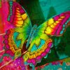 Colorful Butterfly Paint by numbers