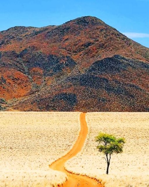 Desert Of Namibia paint by numbers