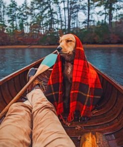 Dog In Boat With Blanket Paint by numbers