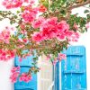Mykonos Greece Pink Flowers paint by numbers