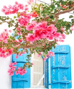 Mykonos Greece Pink Flowers paint by numbers