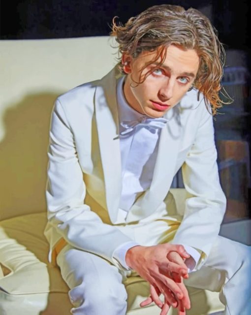 Timothee Chalamet Wearing A White Suit Paint by numbers