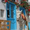 White Donkey In Greece Paint by numbers