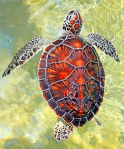 Ocean Turtle Paint by numbers