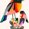 Colorful Birds paint by numbers
