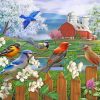 Spring Birds paint by numbers