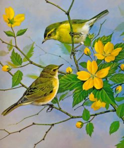 Yellow Finch Birds paint by number
