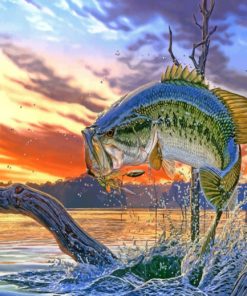 bass fish paint by numbers
