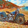 harley davidson Bike paint by numbers