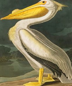 Aesthetic White Pelican paint by numbers