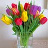 Colorful Tulips Paint by numbers