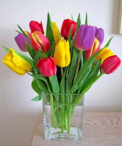 Colorful Tulips Paint by numbers