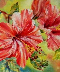 Red White hibiscus paint by numbers
