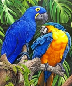 Tropical Macaws paint by numbers