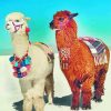 Aesthetic Llamas Paint by numbers