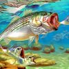 Striper Fish Underwater Paint by numbers
