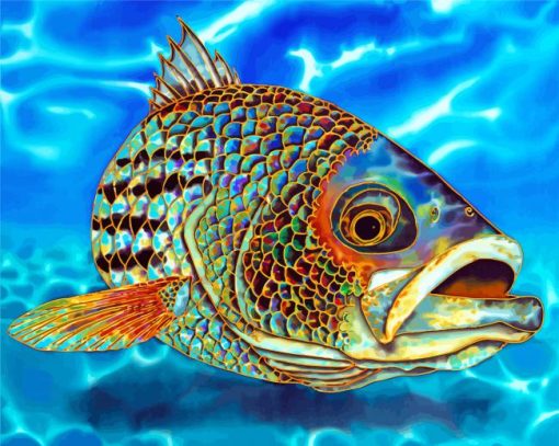 Striper Fish Paint by numbers