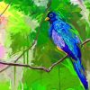 Bird On Tree Art Paint by numbers