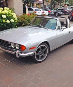 grey-triumph-stag-paint-by-numbers