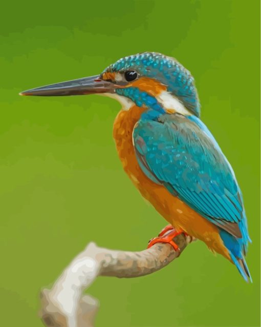 kingfisher-paint-by-numbers