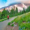 mount-rainier-national-park-paint-by-numbers