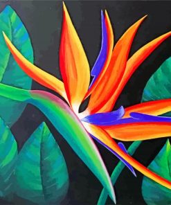 Aesthetic Bird Of Paradise Flower Paint by numbers