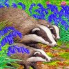 Badgers Animals Paint by numbers