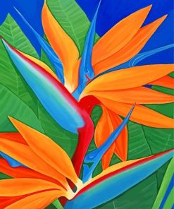 Bird Of Paradise Plant Paint by numbers