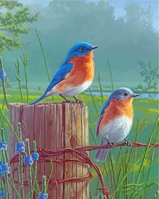 Bluebirds On Wire Paint by numbers