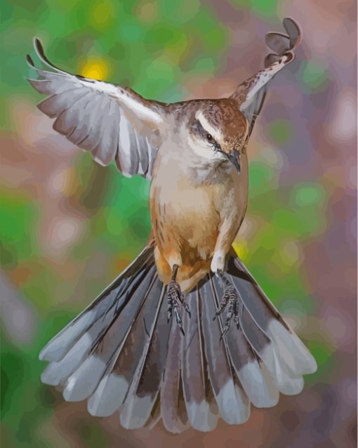 Flying Northern Mockingbird Paint by numbers